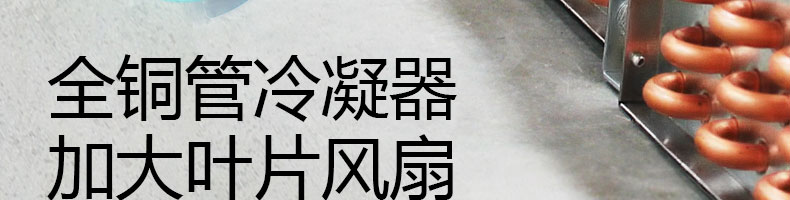 5973139505e20.jpg