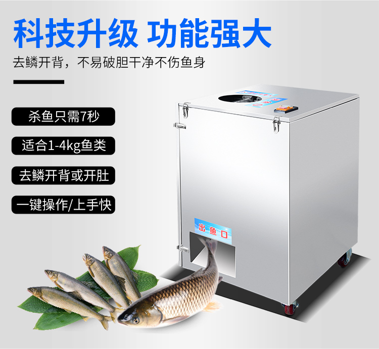 5dfc455ecf4d4.jpg