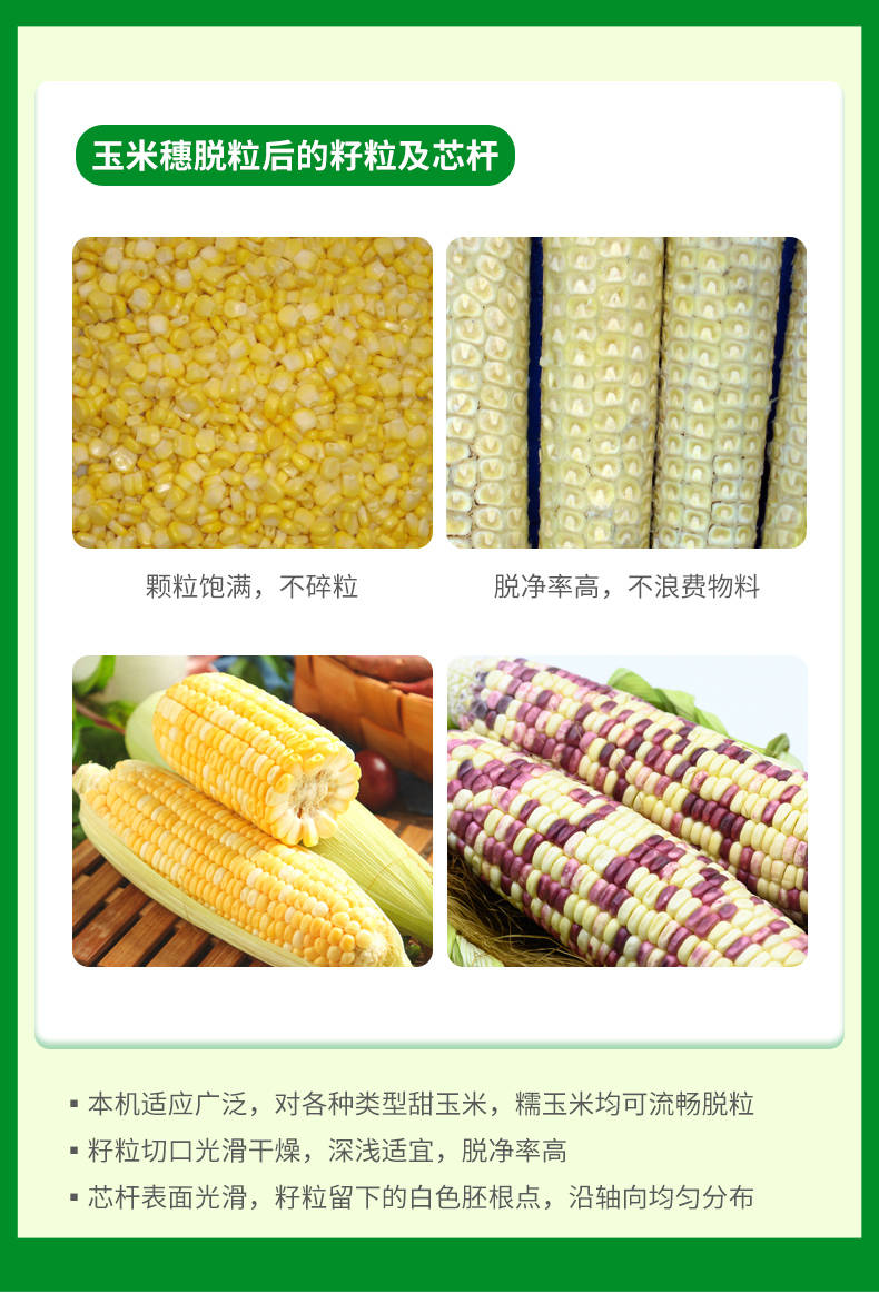 62216d9c41a96.jpg